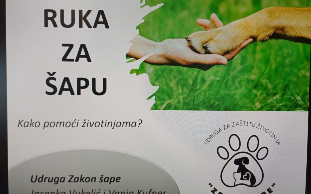 Obilježili smo Svjetski dan zaštite životinja